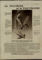 giornale/BVE0573910/1915/25 luglio/36